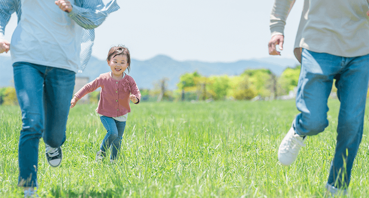 土留に最適!おすすめ植物 3選