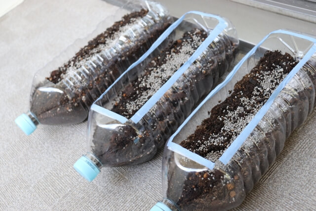 ペットボトルで作った鉢植えの注意点