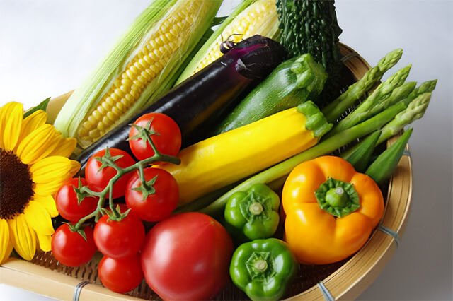 家庭で育てる夏野菜の基本