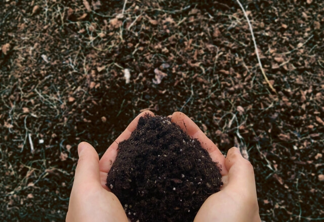 鉢植えの土の再利用はできる？復活させる方法と注意点