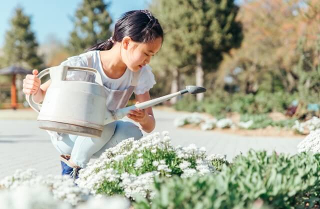 子どもと一緒に楽しむ栽培の工夫5つ