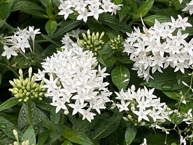 雨が続く季節にできる予防策
