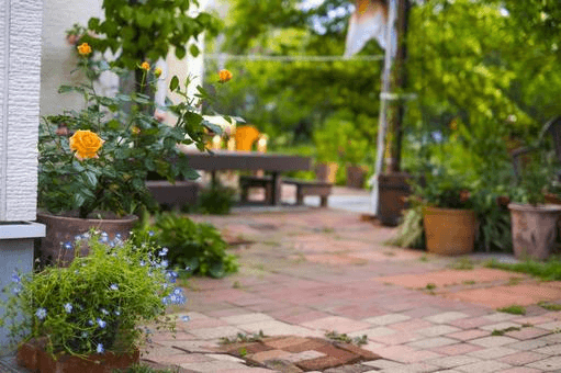 おすすめの庭に植える木は？選び方も解説