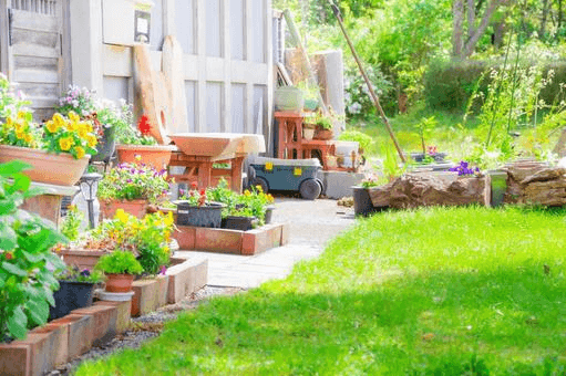庭に植えるおすすめの樹木をご紹介