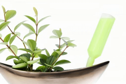 活力剤の与えすぎを防ぐための正しい使い方