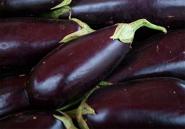 なすの育て方｜初心者でも失敗せず収穫量を増やす秘訣