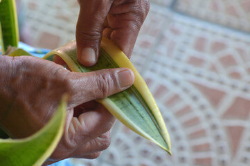 冬越し後に弱る原因と見極めポイント