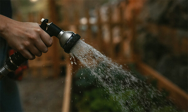 キュウリの健康を守る！日々の管理