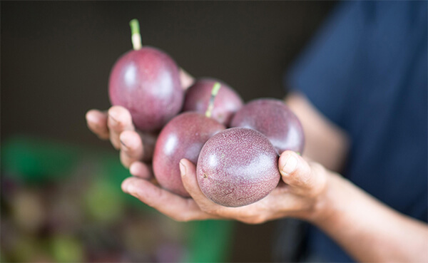 栽培のスタートと環境づくり
