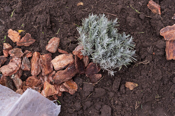 冬の今にこれ以上弱らせないためにできること