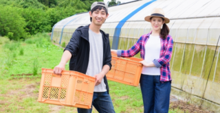 農家のプロが使う活力剤はこれ！おすすめ5選