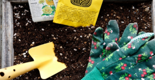 ガーデニングの植物たちが全滅！そんな時にも役に立つ、便利な液体肥料のご紹介