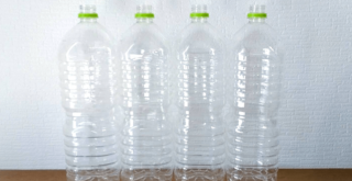 ペットボトルで稲を栽培する方法は？スズメに食べられないための対処法