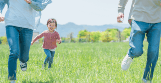 土留に最適!おすすめ植物 3選