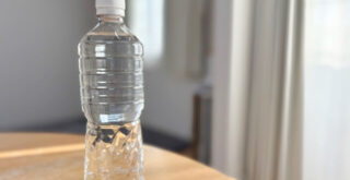 捨てる時に心苦しくない！ペットボトルを使った植木鉢の作り方をご紹介！