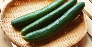 キュウリが曲がる・実が育たない原因と対策【プランター栽培でもOK】